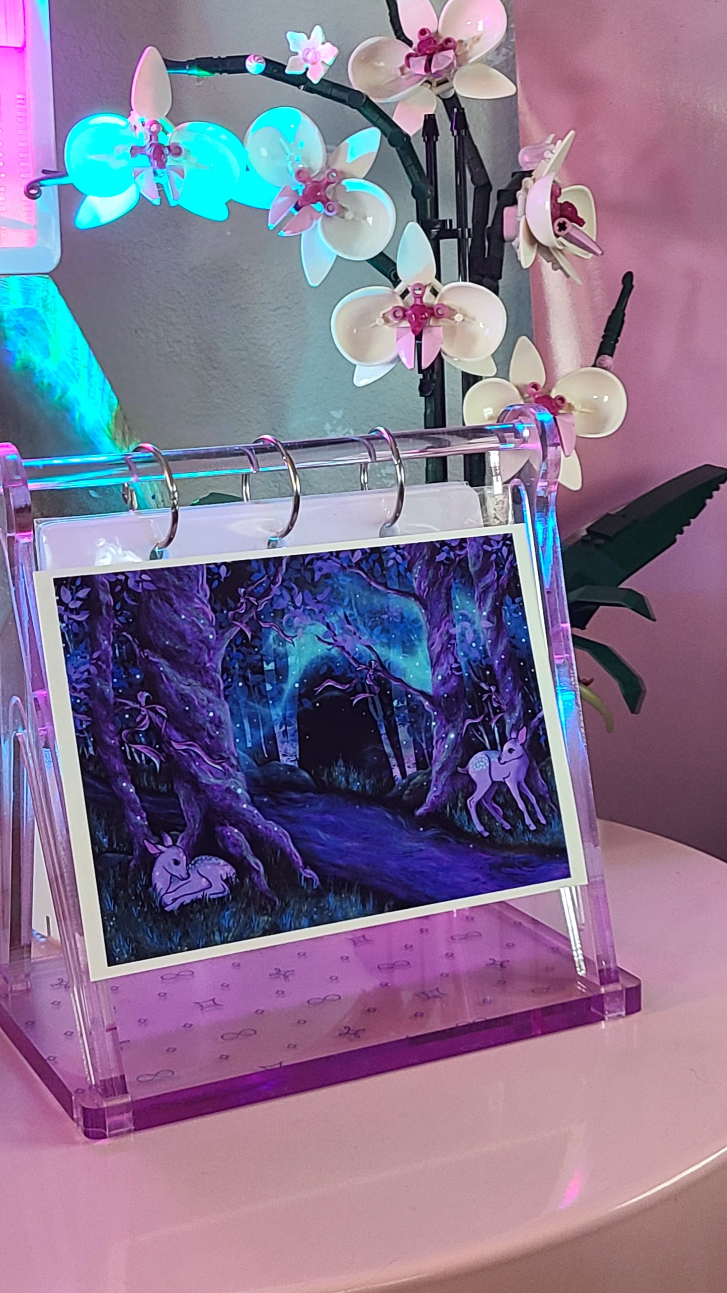 Forest Stream Fawns - Art Print